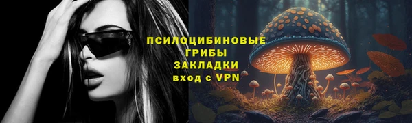 хмурый Балабаново